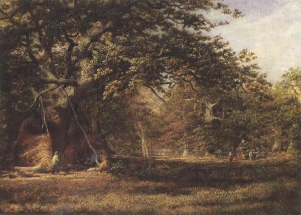 Alfred wilson cox The Woodmans'Bower,Birkland,Sherwood Forest (mk37) Sweden oil painting art